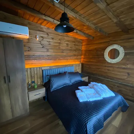 King Tiny House