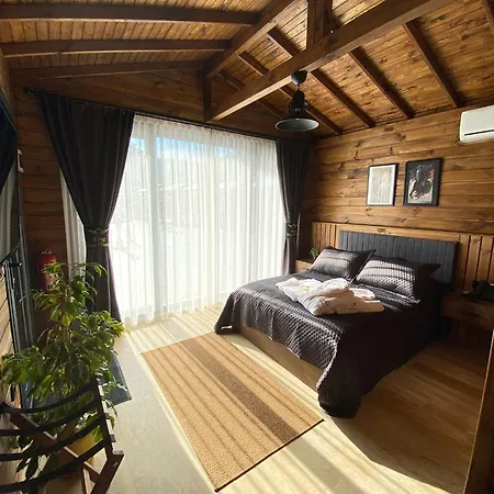 King Tiny House *