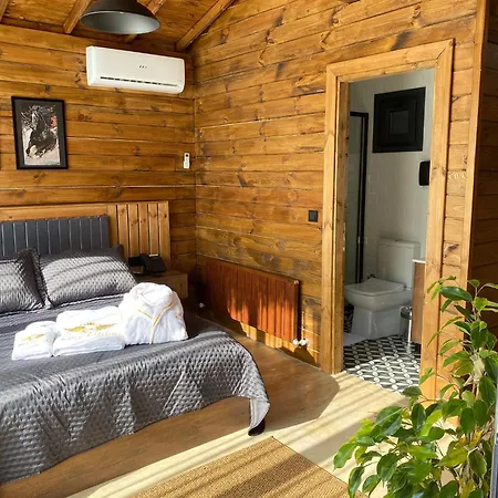 King Tiny House * Sile