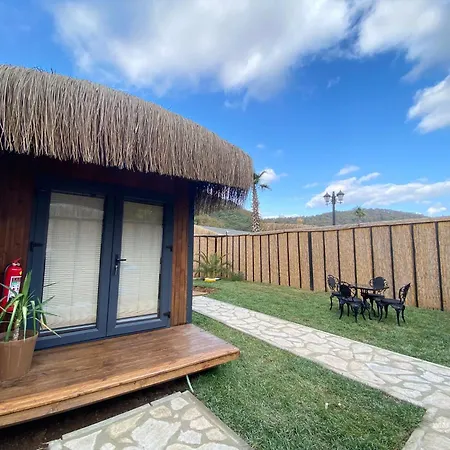 住宿加早餐酒店 King Tiny House Ağva