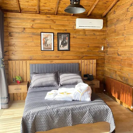 King Tiny House